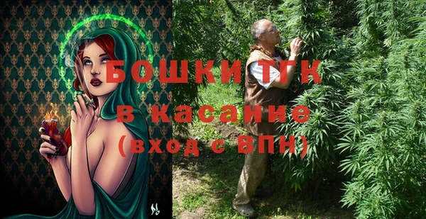 дмт Протвино