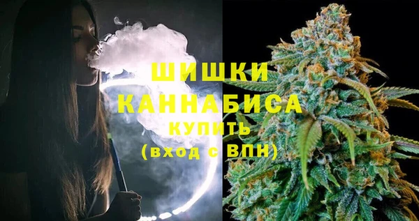 дмт Протвино