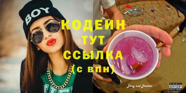 дмт Протвино